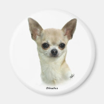 Chihuahua 9P93D-123_2 Imán Para Frigorífico