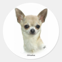 Chihuahua 9P93D-123_2 Pegatinas