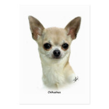 Chihuahua 9P93D-123_2 Plantilla De Tarjeta Personal