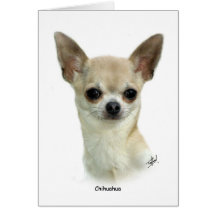 Chihuahua 9P93D-123_2 Tarjetas