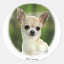 Chihuahua 9P93D-123 Etiqueta