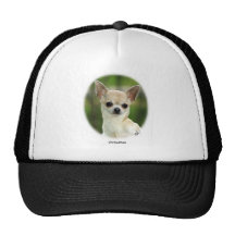 Chihuahua 9P93D-123 Gorras De Camionero