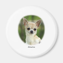Chihuahua 9P93D-123 Iman De Nevera