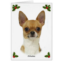 Chihuahua 9W092D-032 Felicitacion