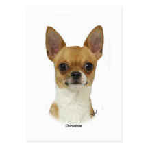 Chihuahua 9W092D-032 Tarjetas De Visita