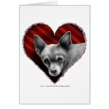 Chihuahua con el corazón tarjeton
