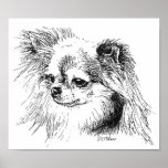 Chihuahua de Longcoat Poster