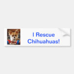Chihuahua de pelo largo etiqueta de parachoque