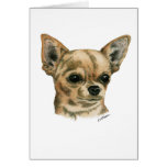Chihuahua de Smoothcoat Tarjeta