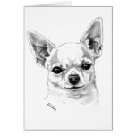 Chihuahua de Smoothcoat Tarjetas
