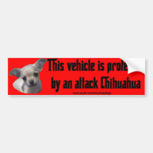 Chihuahua del ataque pegatina de parachoque