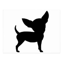 Chihuahua divertida tarjetas postales