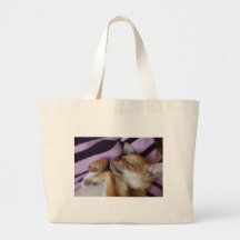 Chihuahua el dormir bolsa