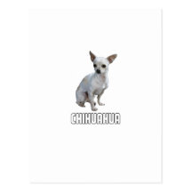 Chihuahua Postal