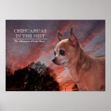 Chihuahuas en la niebla poster