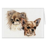 Chihuahuas largas y lisas de la capa felicitaciones