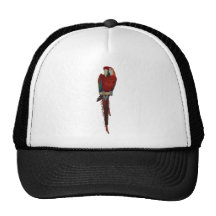 Chile Gorro