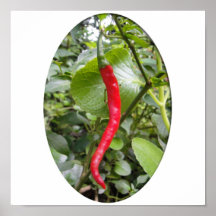Chiles rojos posters