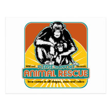 Chimpancé animal del rescate postal