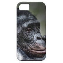Chimpancé iPhone 5 Coberturas