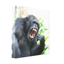 Chimpancé que descubre la impresión de la lona de  lona estirada galerias