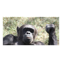Chimpancé Tarjeta Personal