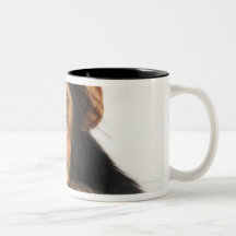 Chimpancé (trogloditas de la cacerola). Playfull j Taza De Café
