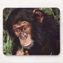 Chimpansee Alfombrillas De Ratones