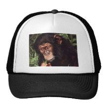 Chimpansee Gorro
