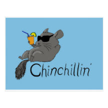 chinchillin tarjetas postales