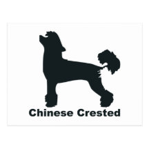 Chino Crested Tarjetas Postales