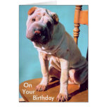 Chino Shar-Pei Tarjetas