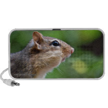Chipmunk Altavoz De Viajar
