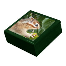 chipmunk, ardilla, caja de regalo