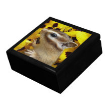 chipmunk, ardilla, caja de regalo