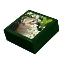 chipmunk, ardilla, caja de regalo