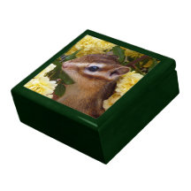 chipmunk, ardilla, caja de regalo