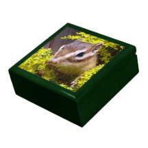 chipmunk, ardilla, caja de regalo