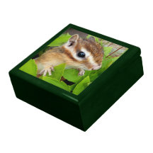 chipmunk, ardilla, caja de regalo