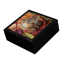 chipmunk, ardilla, caja de regalo