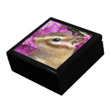 chipmunk, ardilla, caja de regalo