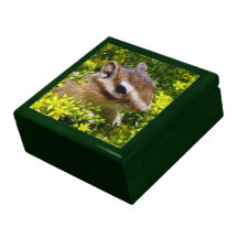 chipmunk, ardilla, caja de regalo