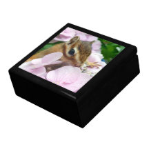 chipmunk, ardilla, caja de regalo