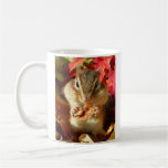 Chipmunk , Autumn (9)　photo マグ