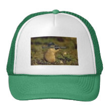 chipmunk con un arma gorras