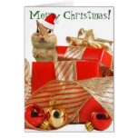 Chipmunk de las Felices Navidad tarjetas
