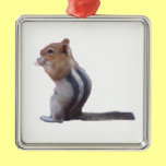 Chipmunk adornos