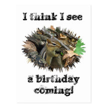 Chipmunk del este de la tarjeta de cumpleaños postales