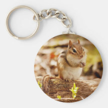Chipmunk extremadamente lindo llavero