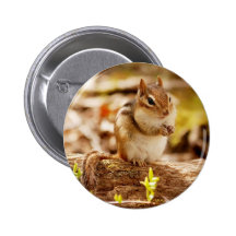 Chipmunk extremadamente lindo pin